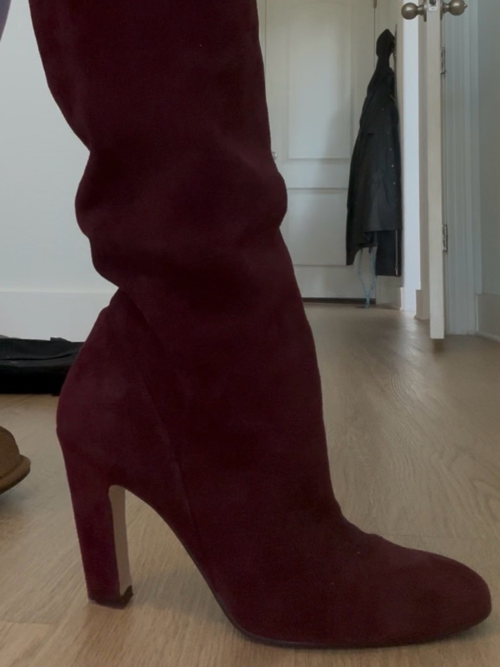 Stuart Weitzman Burgundy Wine Suede Knee high boots